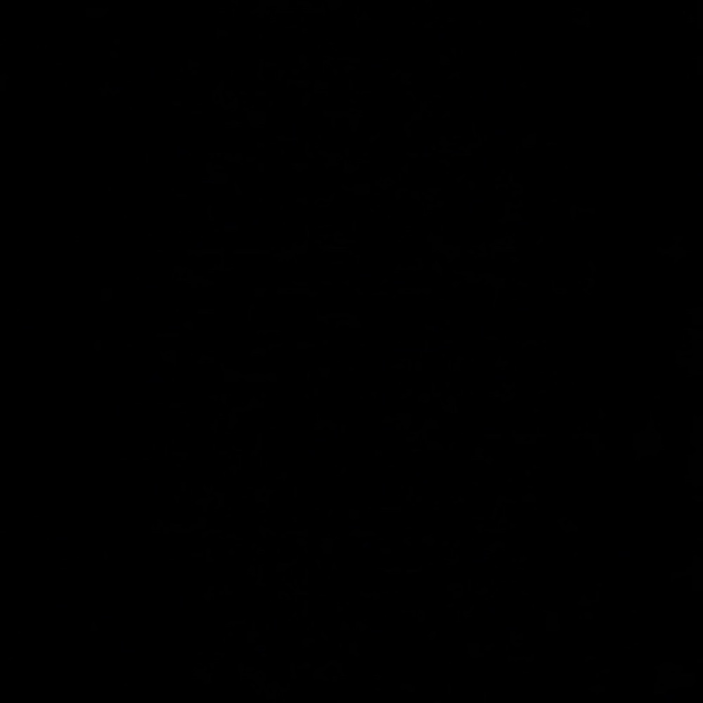 Meet your Posher, Dylan